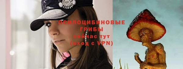 соль ск Алексеевка