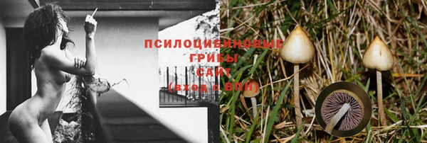 молекула духа Алзамай