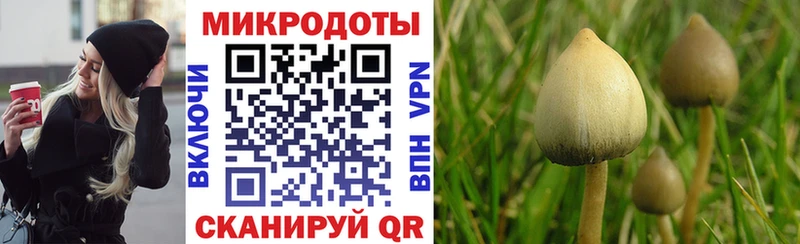 Галлюциногенные грибы Cubensis  закладка  Ейск 
