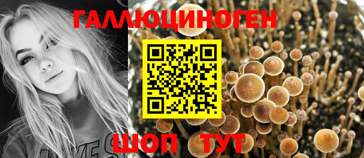 Псилоцибиновые грибы мицелий  Вход с VPN  Псилоцибиновые грибы мицелий  Ейск 