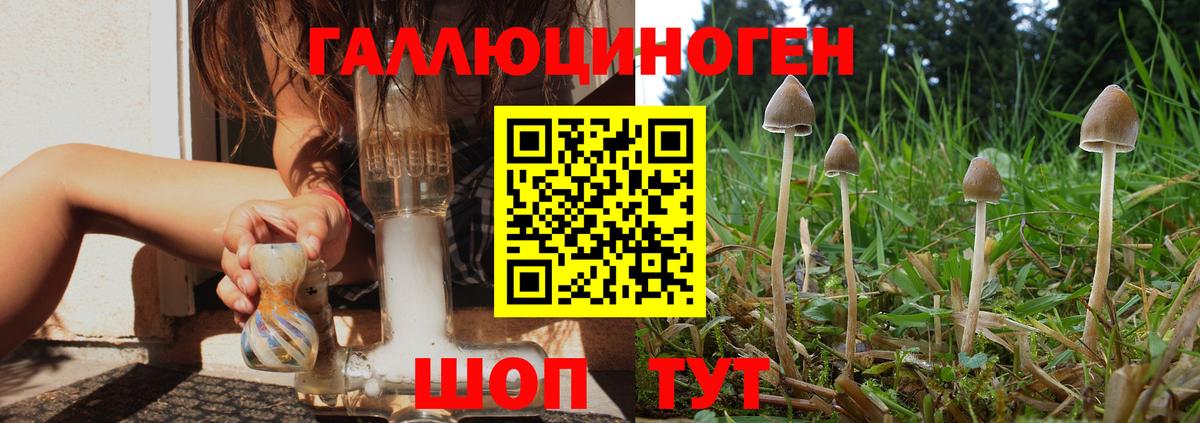 Галлюциногенные грибы мухоморы Ейск