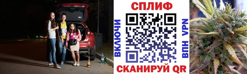 Бошки Шишки семена  дарнет шоп  Ейск 